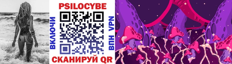 МЕГА Лобня Псилоцибиновые грибы мицелий